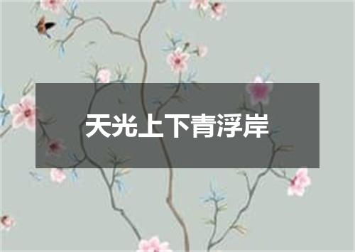 天光上下青浮岸