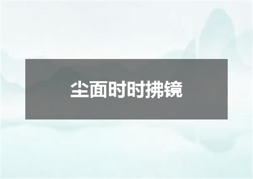 尘面时时拂镜