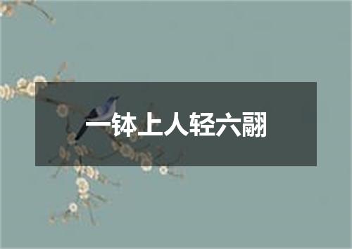 一钵上人轻六翮