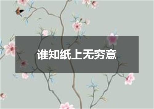 谁知纸上无穷意