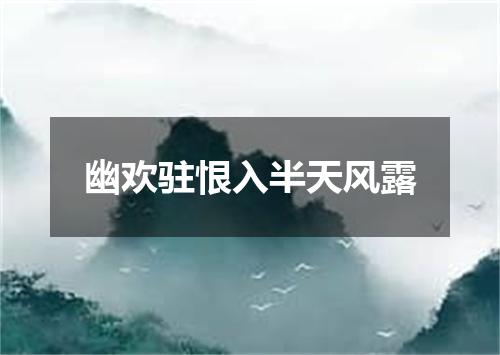 幽欢驻恨入半天风露