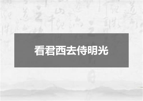 看君西去侍明光