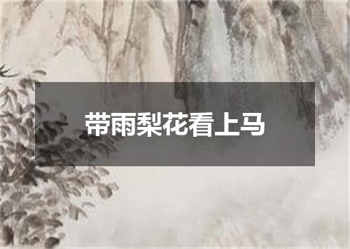 带雨梨花看上马