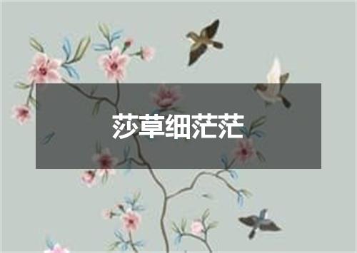 莎草细茫茫