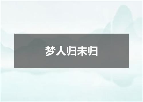 梦人归未归