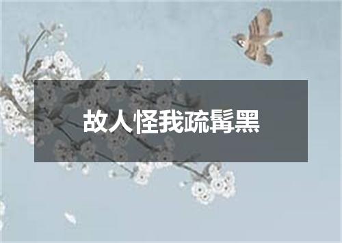 故人怪我疏髯黑