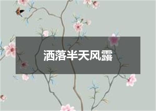 洒落半天风露