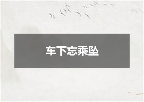 车下忘乘坠