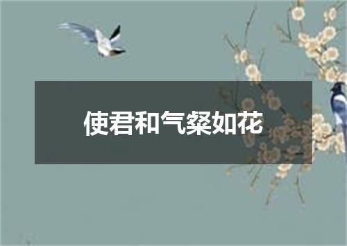 使君和气粲如花