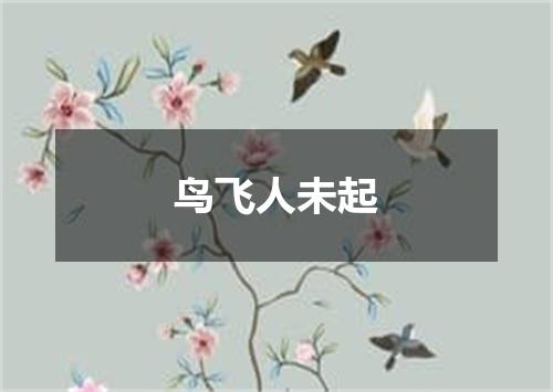 鸟飞人未起