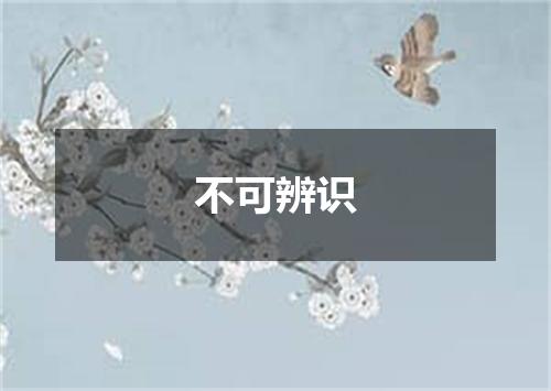 不可辨识