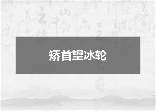 矫首望冰轮