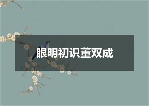 眼明初识董双成