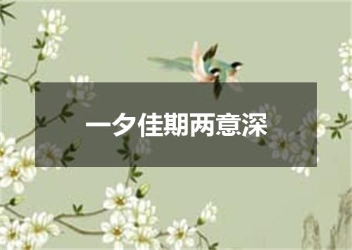 一夕佳期两意深