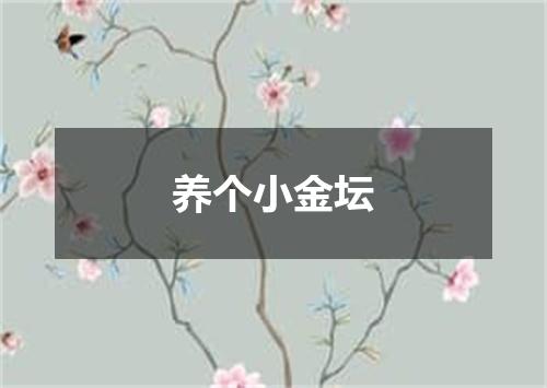 养个小金坛