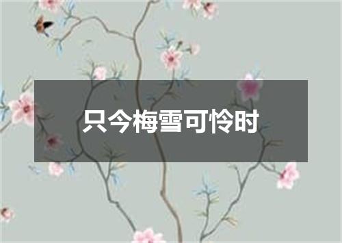 只今梅雪可怜时
