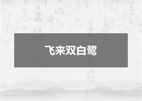 飞来双白鹭