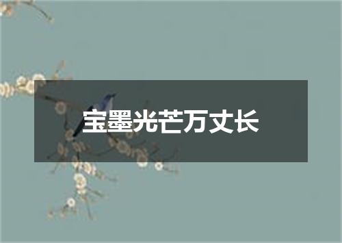 宝墨光芒万丈长