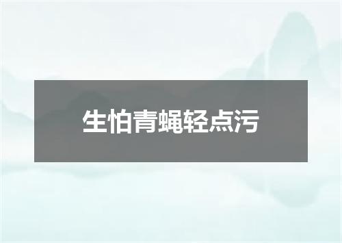 生怕青蝇轻点污