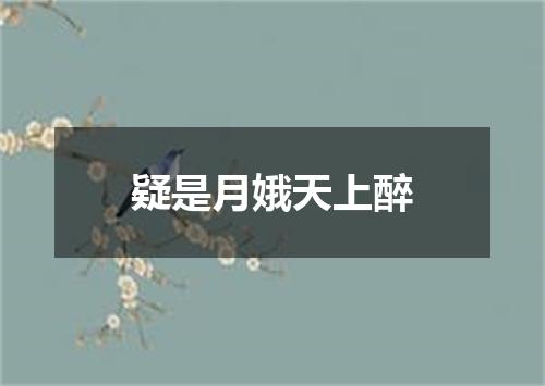疑是月娥天上醉