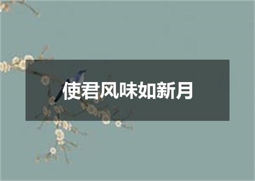 使君风味如新月