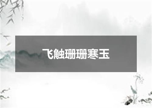 飞触珊珊寒玉