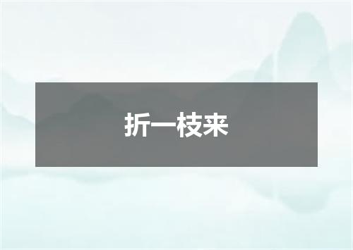 折一枝来
