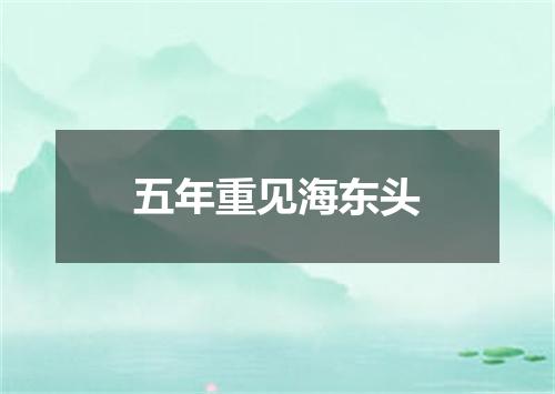 五年重见海东头