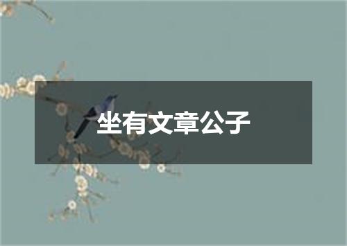 坐有文章公子
