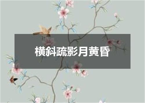 横斜疏影月黄昏