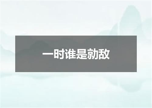 一时谁是勍敌