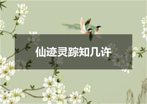 仙迹灵踪知几许