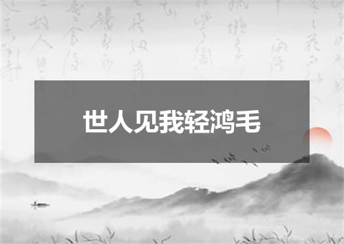 世人见我轻鸿毛