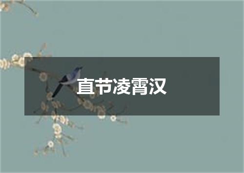 直节凌霄汉