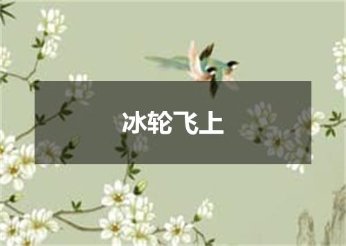 冰轮飞上