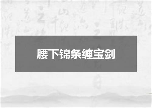 腰下锦条缠宝剑
