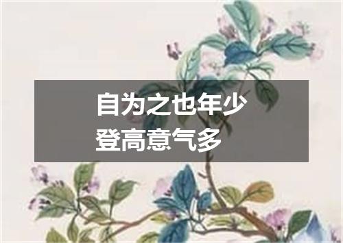 自为之也年少登高意气多