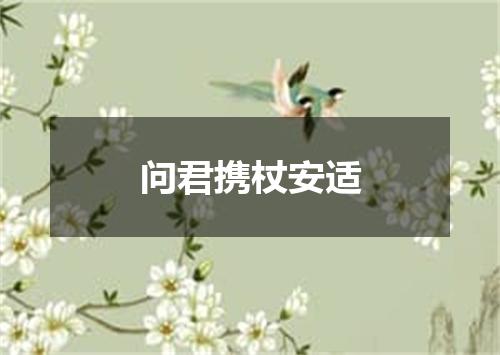 问君携杖安适