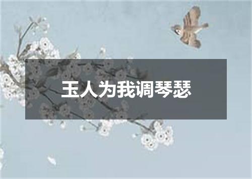 玉人为我调琴瑟