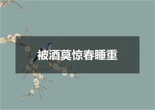 被酒莫惊春睡重