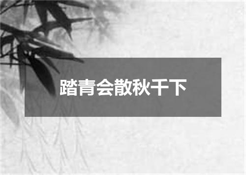 踏青会散秋千下