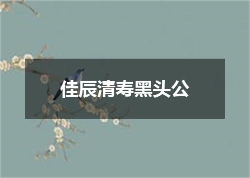 佳辰清寿黑头公