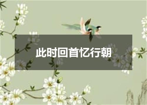 此时回首忆行朝