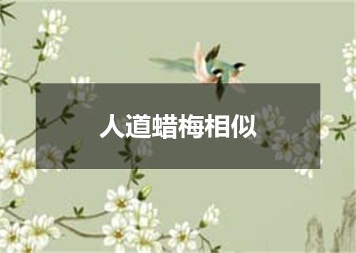 人道蜡梅相似