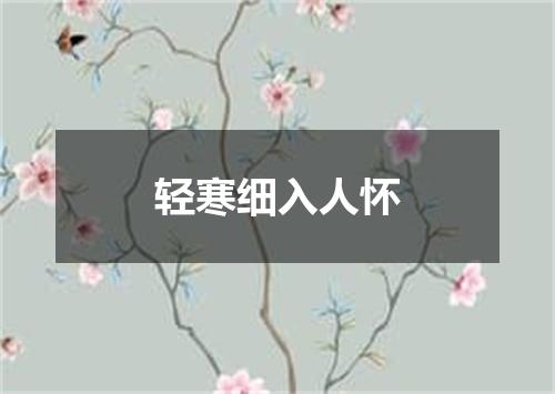 轻寒细入人怀