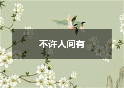 不许人间有