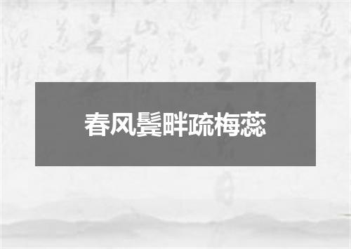 春风鬓畔疏梅蕊