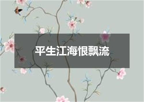 平生江海恨飘流