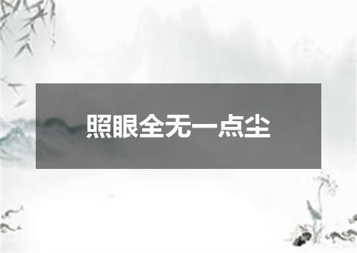 照眼全无一点尘