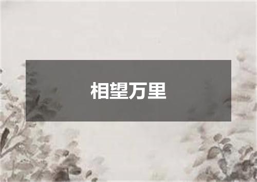 相望万里